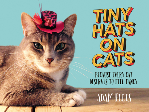 Cover image for book Tiny Hats on Cats