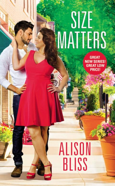 Cover image for book Size Matters