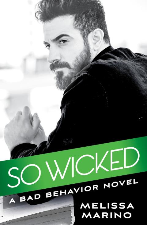 Cover image for book So Wicked