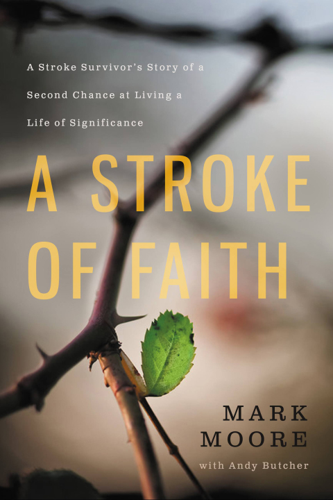 Cover image for book A Stroke of Faith