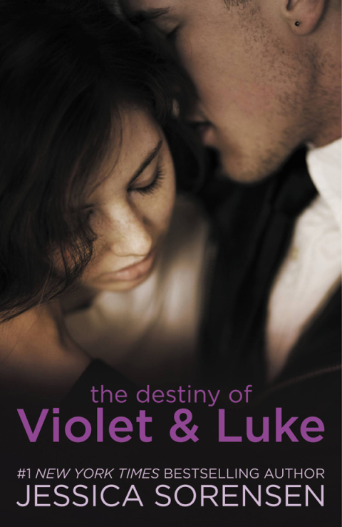 Cover image for book The Destiny of Violet & Luke
