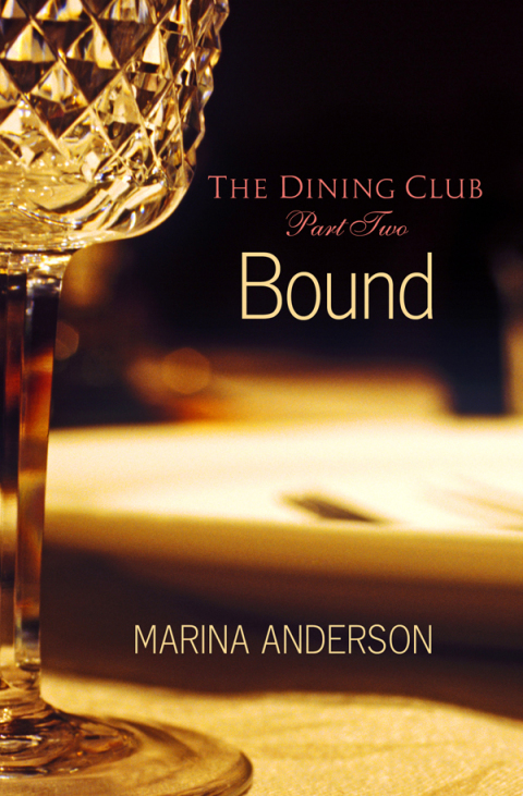 Cover image for book Bound