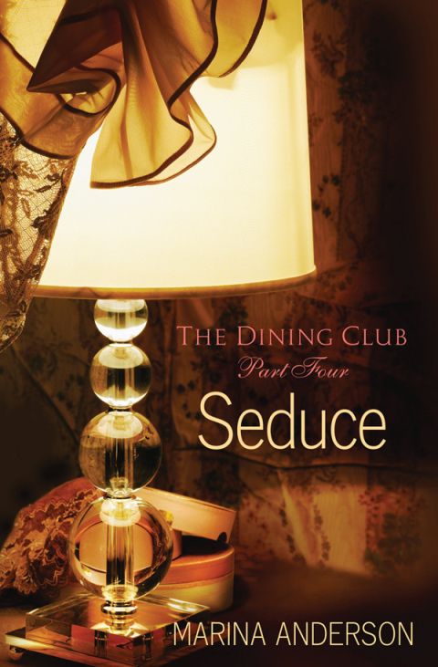 Cover image for book Seduce