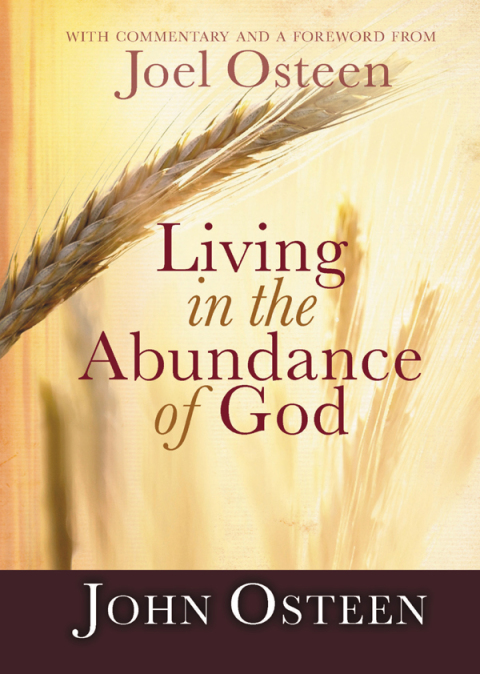 Cover image for book Living in the Abundance of God