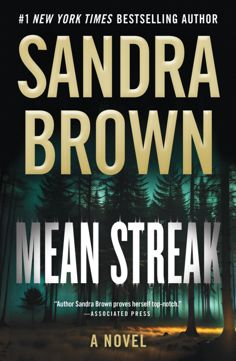 Cover image for book Mean Streak