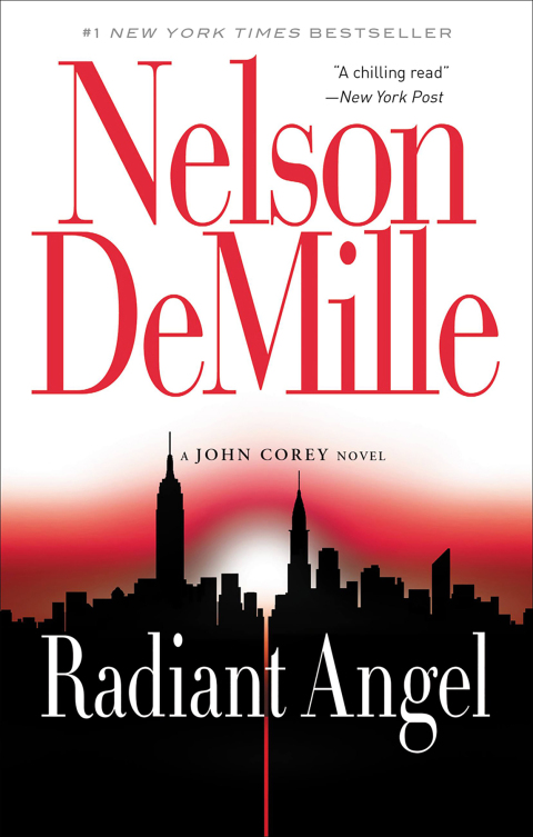 Cover image for book Radiant Angel