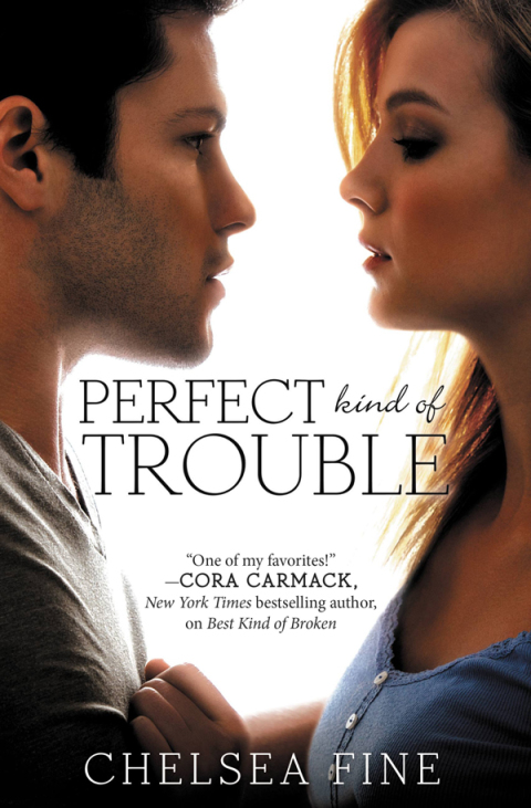 Cover image for book Perfect Kind of Trouble