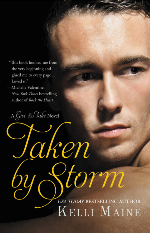 Cover image for book Taken by Storm