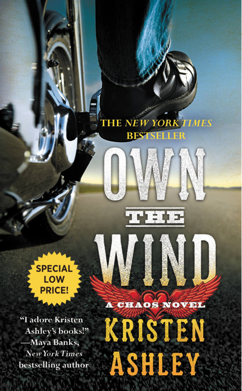Cover image for book Own the Wind