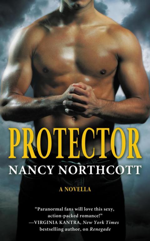 Cover image for book Protector