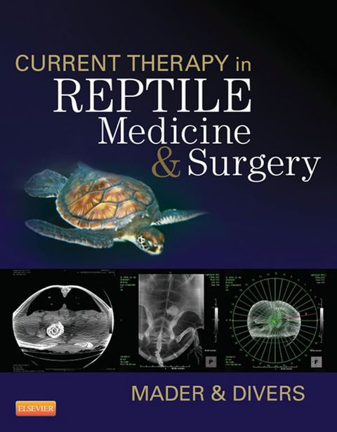 Cover image for book Current Therapy in Reptile Medicine and Surgery