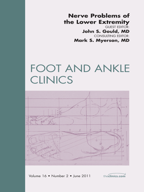 Cover image for book Nerve Problems of the Lower Extremity, An Issue of Foot and Ankle Clinics