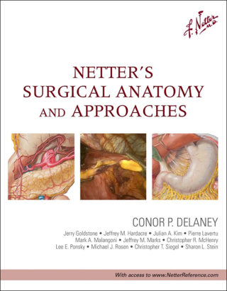 Netter's Surgical Anatomy and Approaches