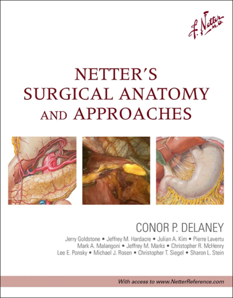 Cover image for book Netter's Surgical Anatomy and Approaches