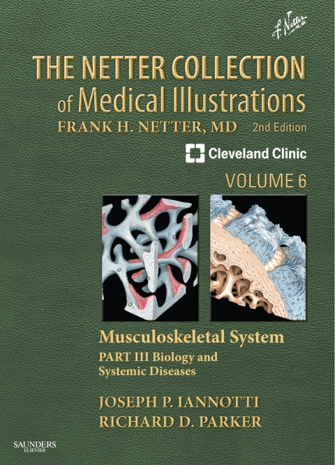 Cover image for book The Netter Collection of Medical Illustrations: Musculoskeletal System, Volume 6, Part III - Musculoskeletal Biology and Systematic Musculoskeletal Disease