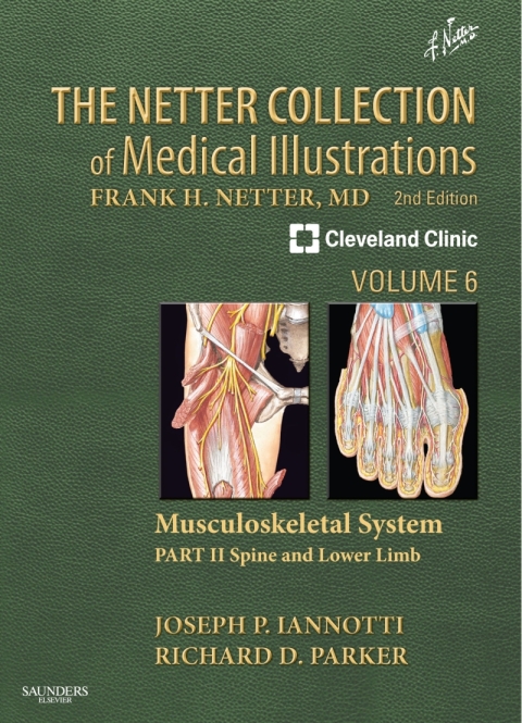 Cover image for book The Netter Collection of Medical Illustrations: Musculoskeletal System, Volume 6, Part II - Spine and Lower Limb