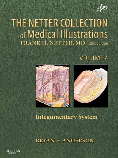 Cover image for book The Netter Collection of Medical Illustrations: Integumentary System