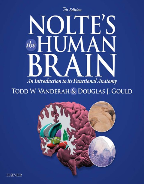 Cover image for book Nolte’s The Human Brain
