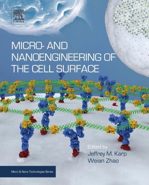 Cover image for book Micro- and Nanoengineering of the Cell Surface