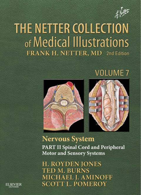 The Netter Collection of Medical Illustrations: Nervous System, Volume 7, Part II - Spinal Cord and Peripheral Motor and Sensory Systems 