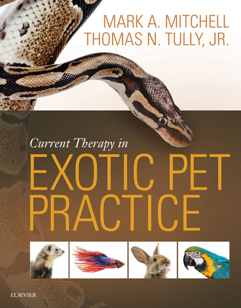 Cover image for book Current Therapy in Exotic Pet Practice