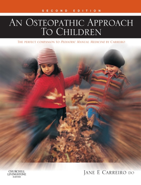Cover image for book An Osteopathic Approach to Children