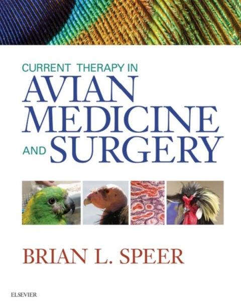 Cover image for book Current Therapy in Avian Medicine and Surgery