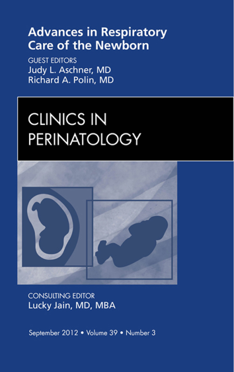 Cover image for book Advances in Respiratory Care of the Newborn, An Issue of Clinics in Perinatology