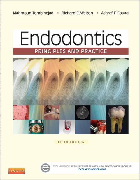 Cover image for book Endodontics: Principles and Practice