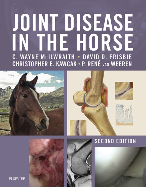 Cover image for book Joint Disease in the Horse