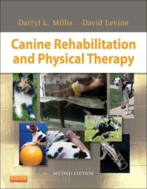Cover image for book Canine Rehabilitation and Physical Therapy