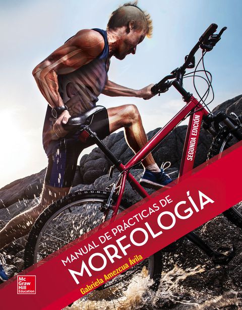 Cover image for book Manual de prácticas de morfología