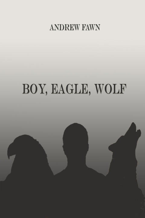 Cover image for book Boy, Eagle, Wolf