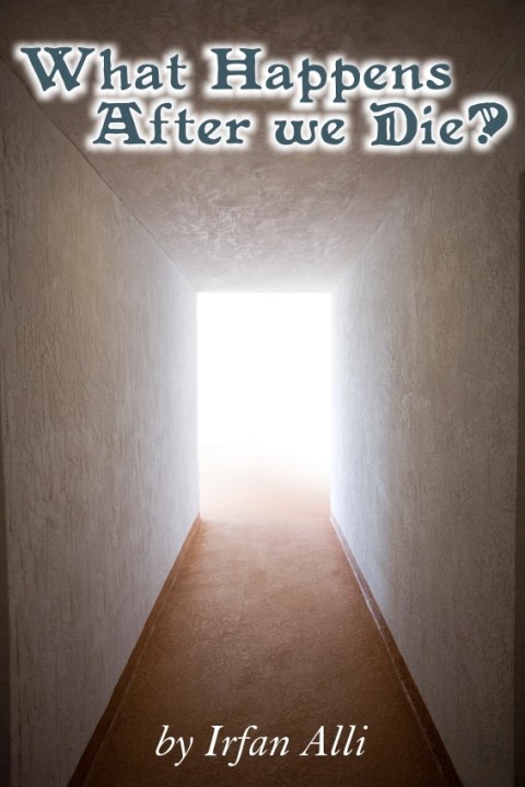 Cover image for book WHAT HAPPENS AFTER WE DIE?