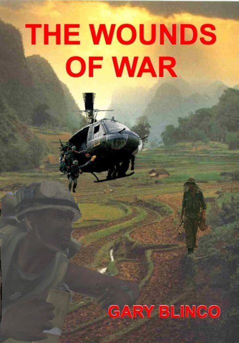Cover image for book The Wounds of War