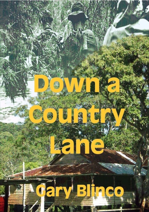 Cover image for book Down a Country Lane