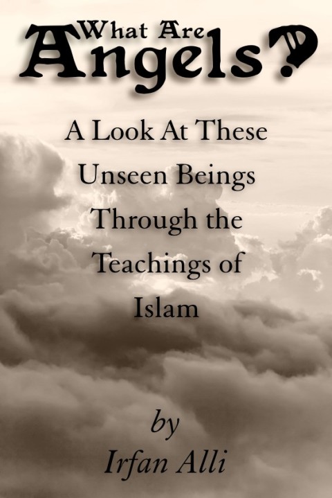 Cover image for book WHAT ARE ANGELS?
