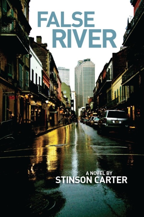 Cover image for book False River
