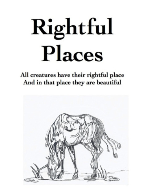 Cover image for book Rightful Places