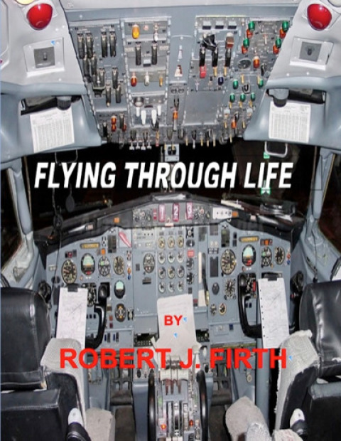 Cover image for book Flying Through Life