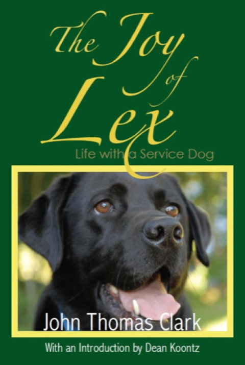 Cover image for book The Joy of Lex:
