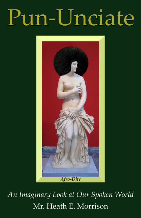 Cover image for book Pun-Unciate