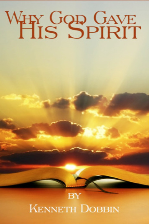 Cover image for book Why God Gave His Spirit