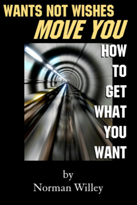 Cover image for book Wants Not Wishes Move You