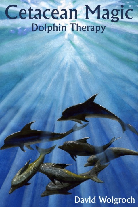 Cover image for book Cetacean Magic