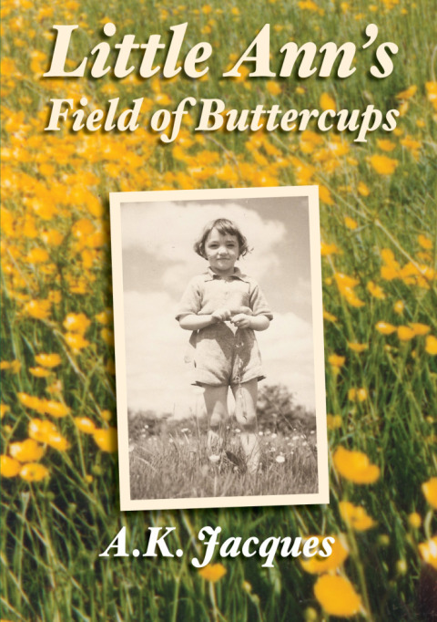 Cover image for book Little Ann's Field of Buttercups