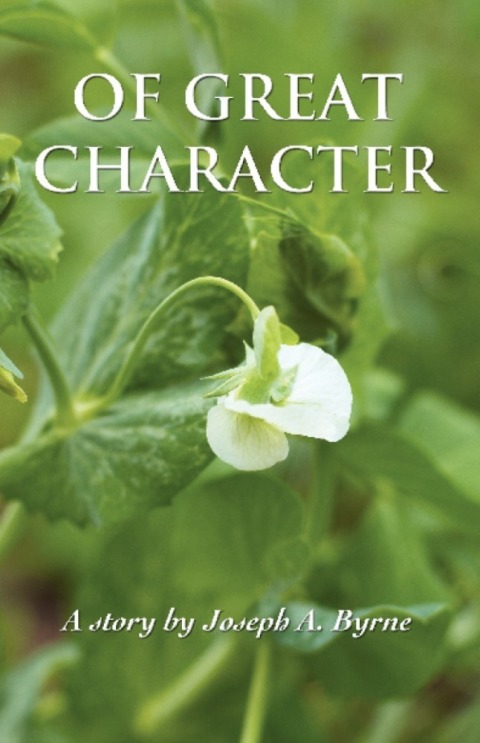 Cover image for book Of Great Character