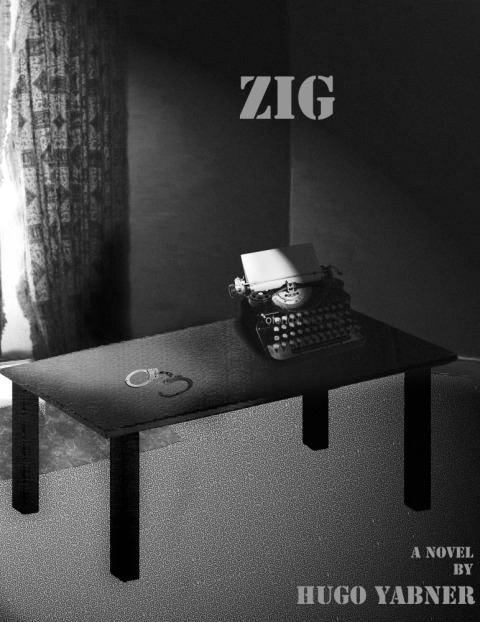 Cover image for book Zig