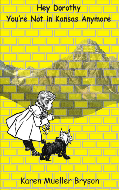 Cover image for book Hey Dorothy You're Not in Kansas Anymore