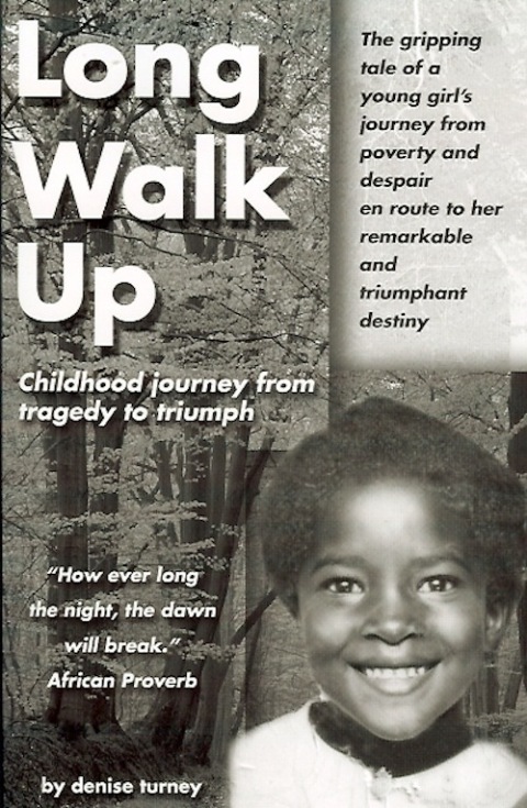 Cover image for book Long Walk Up